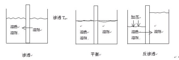 膜分离设备 膜分离设备