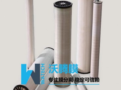 DK-8040纳滤膜芯（SUEZ(原GE公司）美国进口）