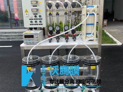 电渗析设备WTM-ED2040-20